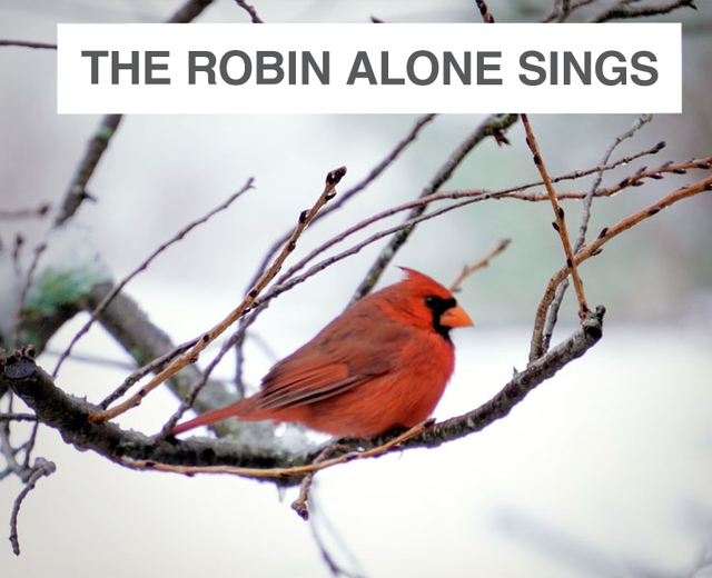The Robin Alone Sings Now | The Robin Alone Sings Now| MusicSpoke