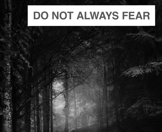 Do Not Always Fear the Dark | Do Not Always Fear the Dark| MusicSpoke