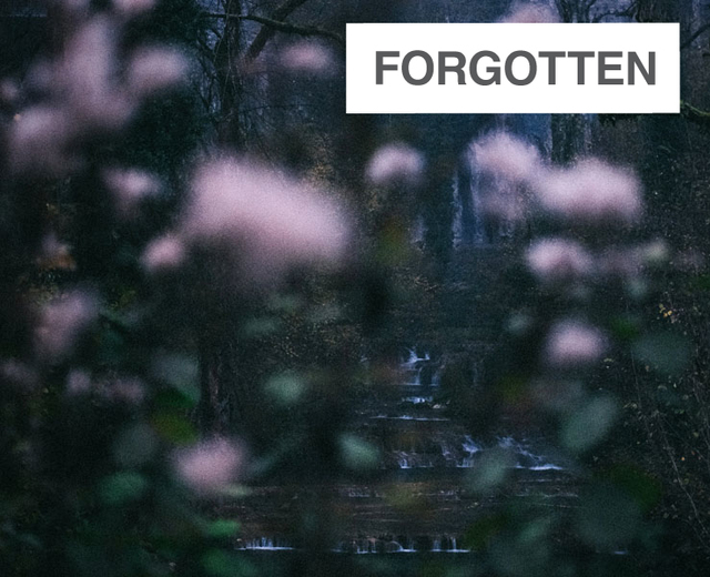 Forgotten | Forgotten| MusicSpoke