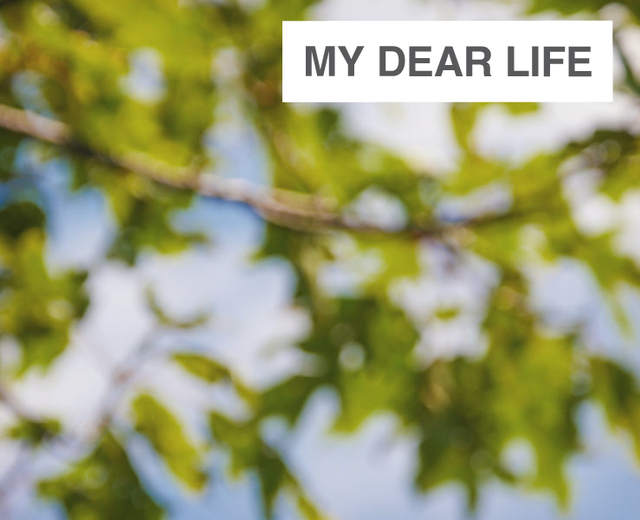 My dear Life | My dear Life| MusicSpoke