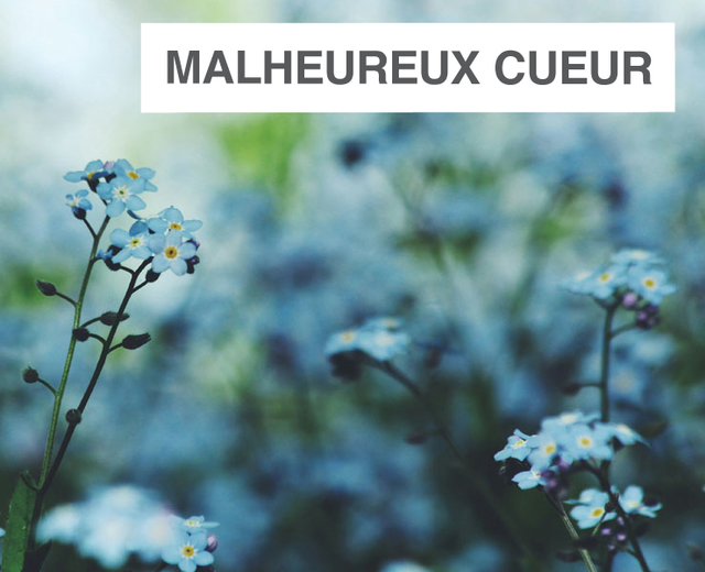 Malheureux cueur | Malheureux cueur| MusicSpoke