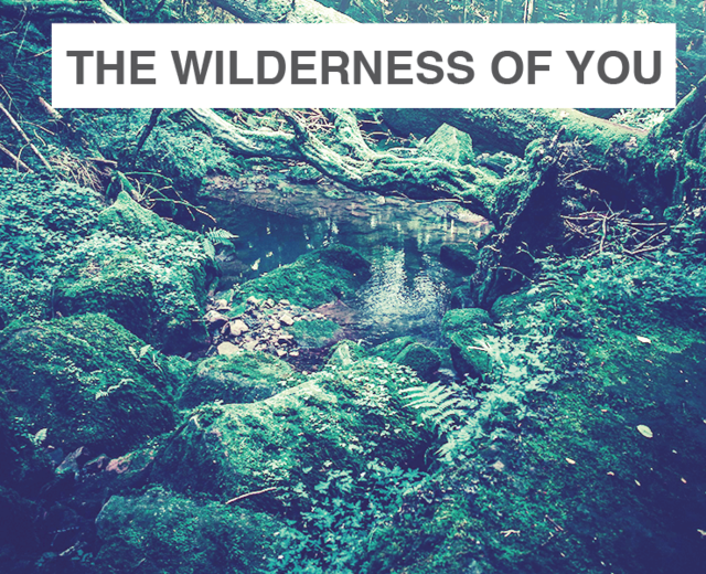 The Wilderness of You | The Wilderness of You| MusicSpoke