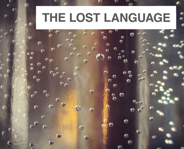 The Lost Language | The Lost Language| MusicSpoke