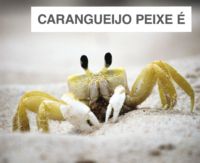 Carangueijo Peixe É | Carangueijo Peixe É| MusicSpoke