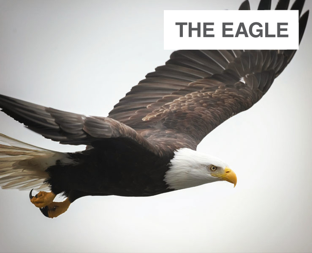 The Eagle | The Eagle| MusicSpoke