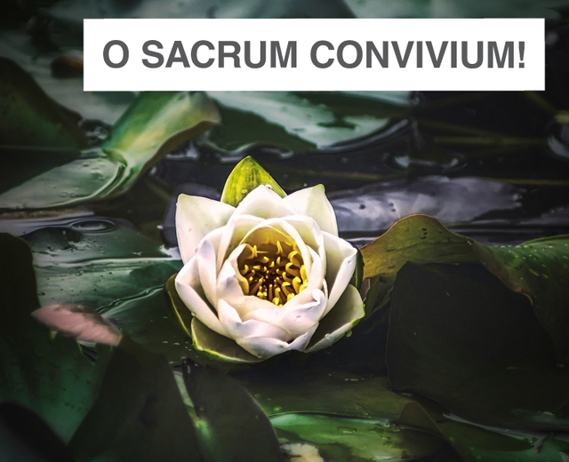 O sacrum convivium! | O sacrum convivium!| MusicSpoke