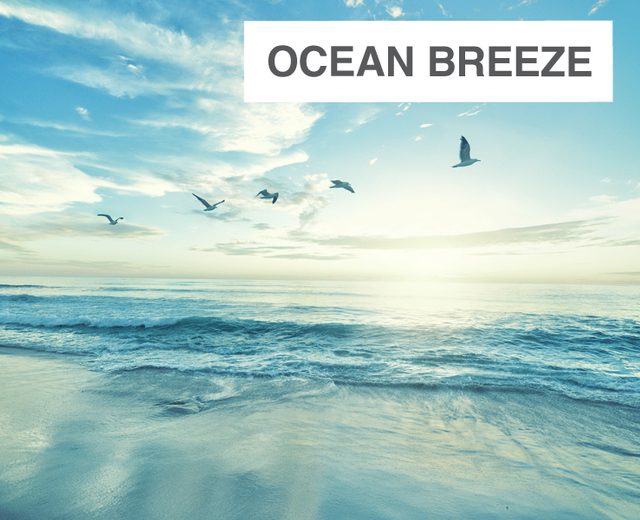 Ocean Breeze | Ocean Breeze| MusicSpoke