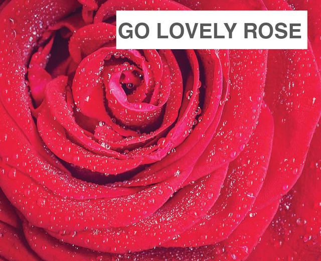 Go Lovely Rose | Go Lovely Rose| MusicSpoke