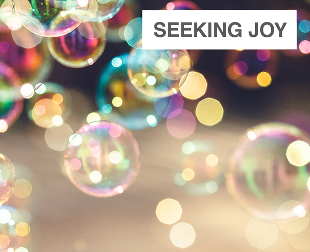 Seeking Joy | Seeking Joy| MusicSpoke