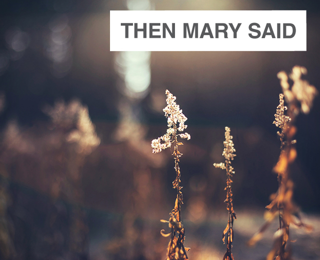 Then Mary Said | Then Mary Said| MusicSpoke