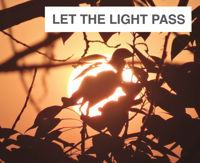 Let the Light Pass Through You | Let the Light Pass Through You| MusicSpoke