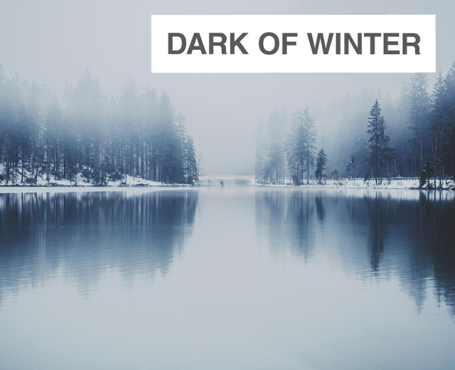 Dark of Winter | Dark of Winter| MusicSpoke