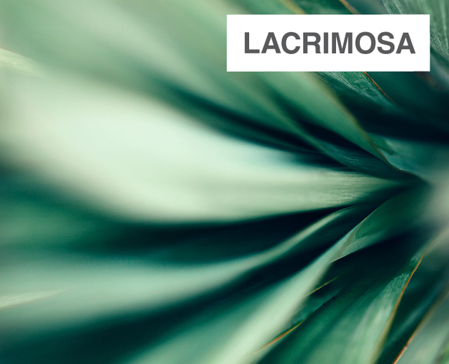 Lacrimosa | Lacrimosa| MusicSpoke