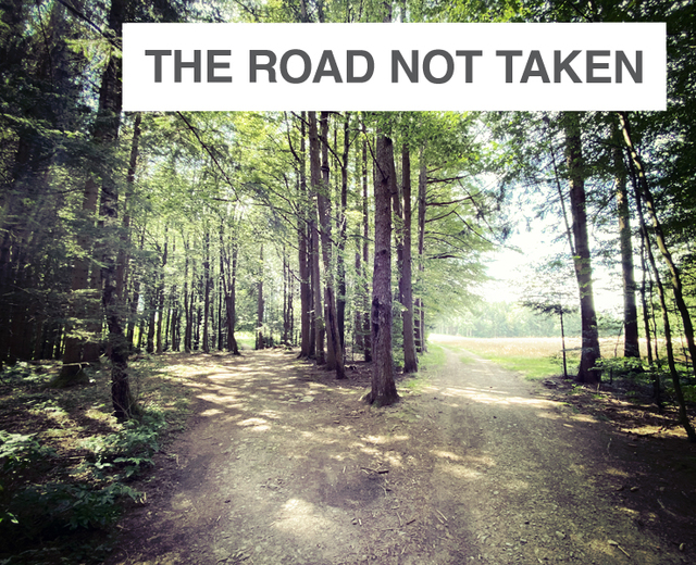 The Road Not Taken | The Road Not Taken| MusicSpoke