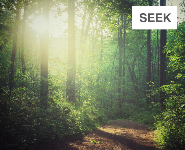 Seek | Seek| MusicSpoke