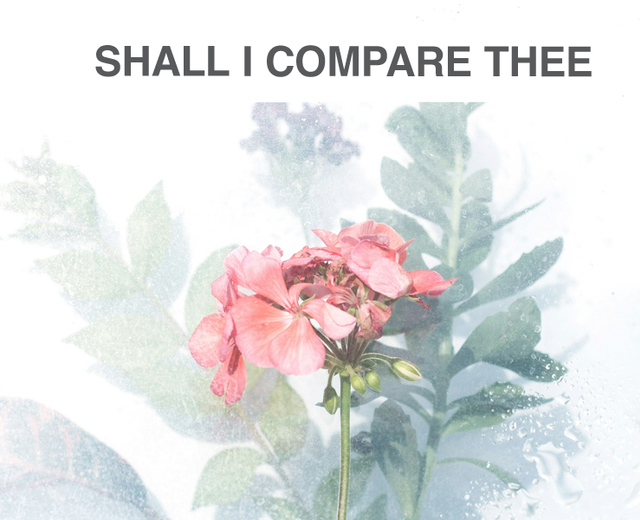 Shall I Compare Thee to a Summer's Day? | Shall I Compare Thee to a Summer's Day?| MusicSpoke