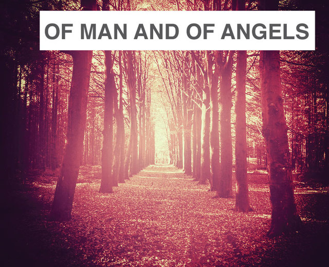 Of Man and of Angels | Of Man and of Angels| MusicSpoke