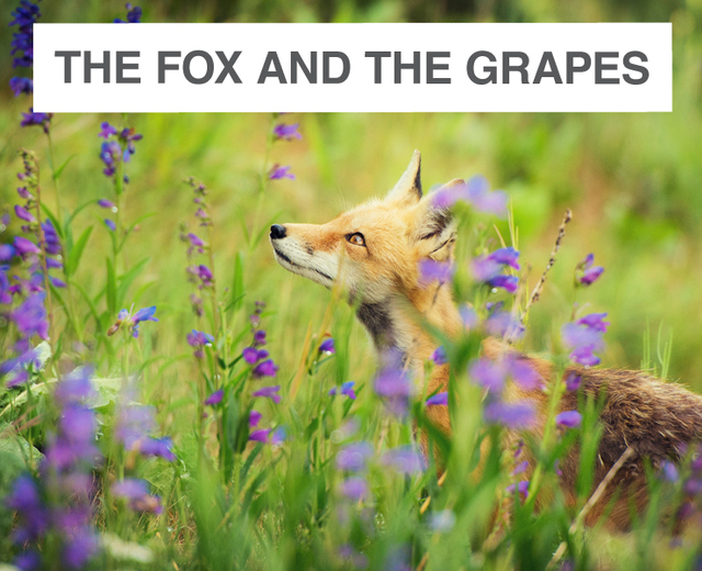 The Fox and the Grapes | The Fox and the Grapes| MusicSpoke