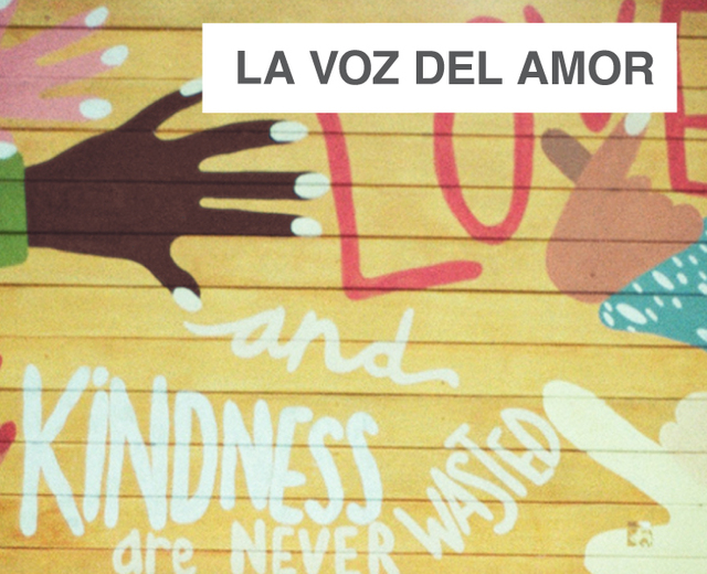 La Voz del Amor | La Voz del Amor| MusicSpoke