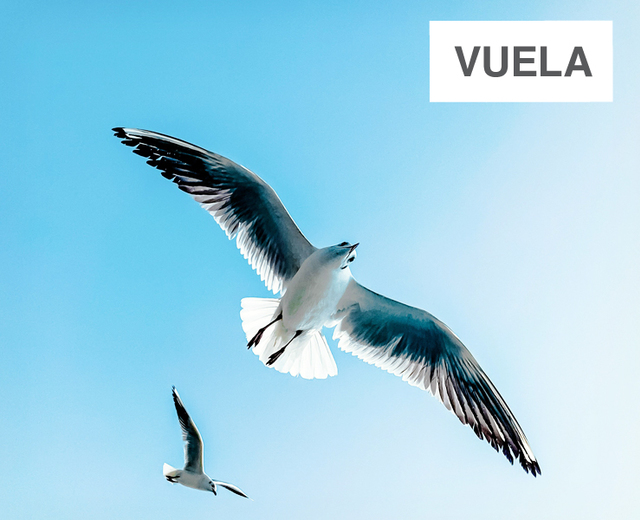 Vuela | Vuela| MusicSpoke