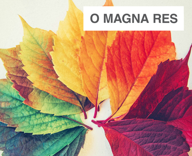 O Magna Res | O Magna Res| MusicSpoke