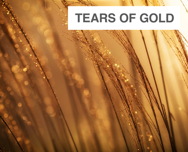 Tears of Gold | Tears of Gold| MusicSpoke