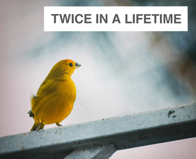 Twice in a Lifetime | Twice in a Lifetime| MusicSpoke