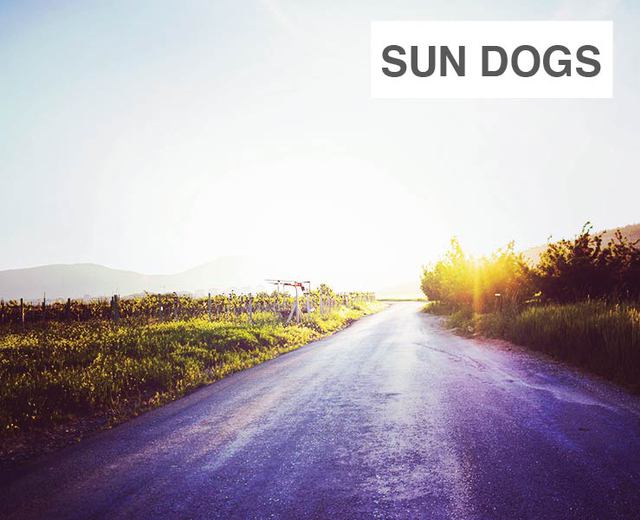 Sun Dogs | Sun Dogs| MusicSpoke