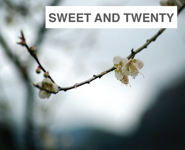 Sweet & Twenty | Sweet & Twenty| MusicSpoke