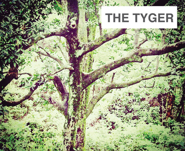 The Tyger | The Tyger| MusicSpoke