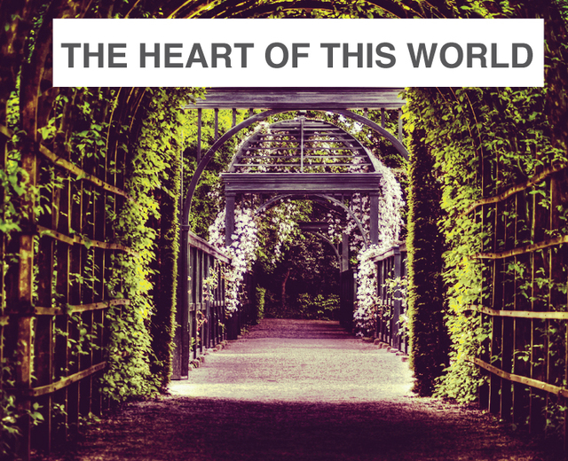 The Heart of This World | The Heart of This World| MusicSpoke