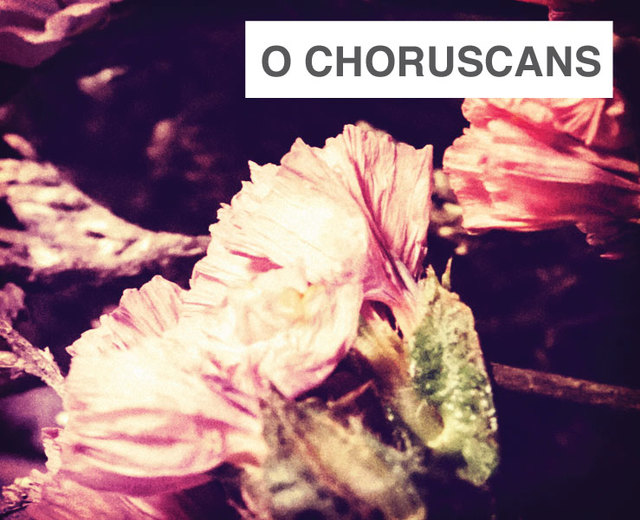 O Choruscans Lux Stellarum | O Choruscans Lux Stellarum| MusicSpoke