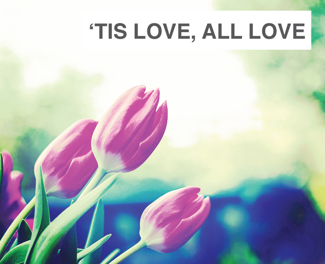 'Tis Love, All Love | 'Tis Love, All Love| MusicSpoke