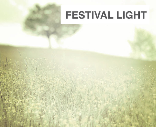 Festival Light | Festival Light| MusicSpoke