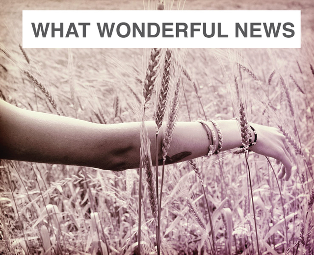Oh, What Wonderful News | Oh, What Wonderful News| MusicSpoke