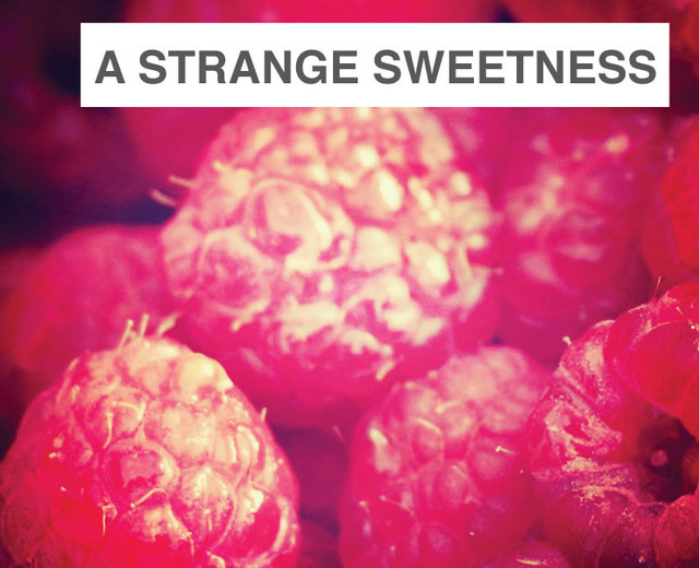 A Strange Sweetness | A Strange Sweetness| MusicSpoke
