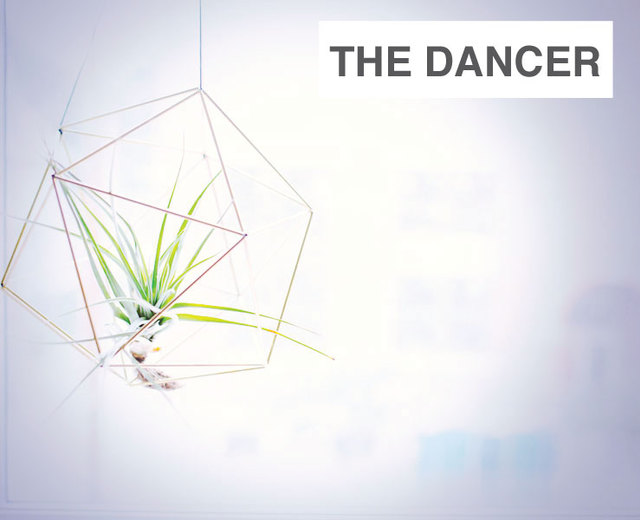 The Dancer | The Dancer| MusicSpoke