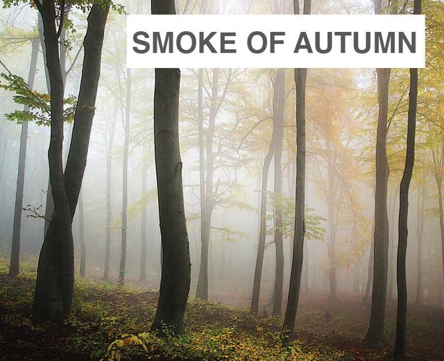Three Pieces on the Smoke of Autumn | Three Pieces on the Smoke of Autumn| MusicSpoke