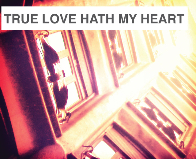 My True Love Hath My Heart | My True Love Hath My Heart| MusicSpoke