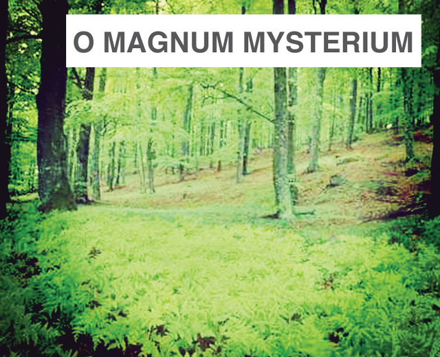 O Magnum Mysterium | O Magnum Mysterium| MusicSpoke