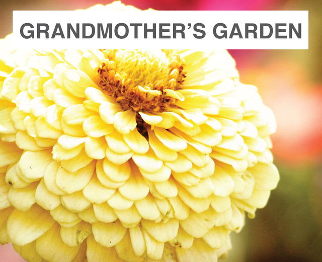 Grandmother's Garden | Grandmother's Garden| MusicSpoke