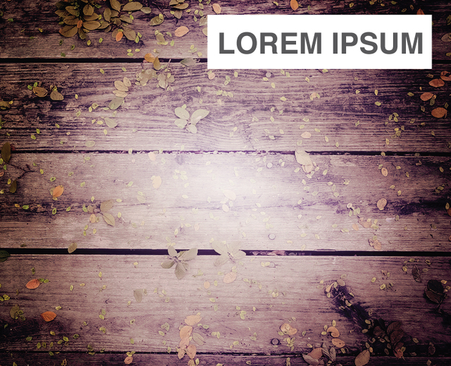 Lorem ipsum | Lorem ipsum| MusicSpoke