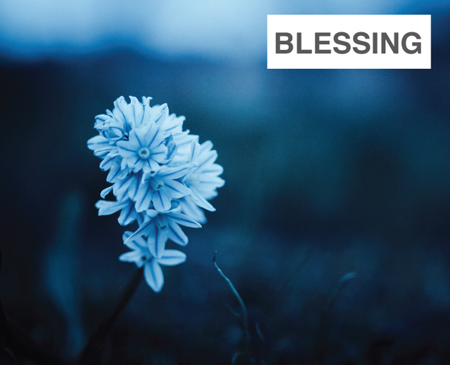 Blessing | Blessing| MusicSpoke