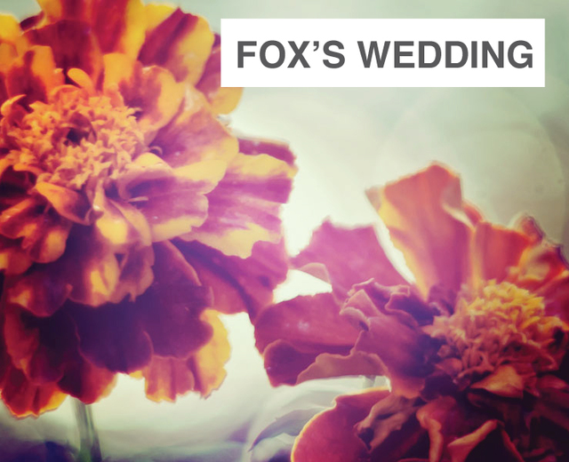 Fox's Wedding | Fox's Wedding| MusicSpoke